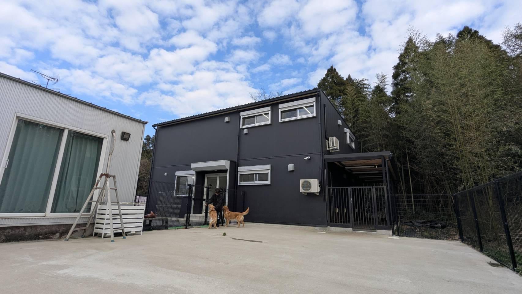 Grand INU Farmの広大な飼育環境と自然