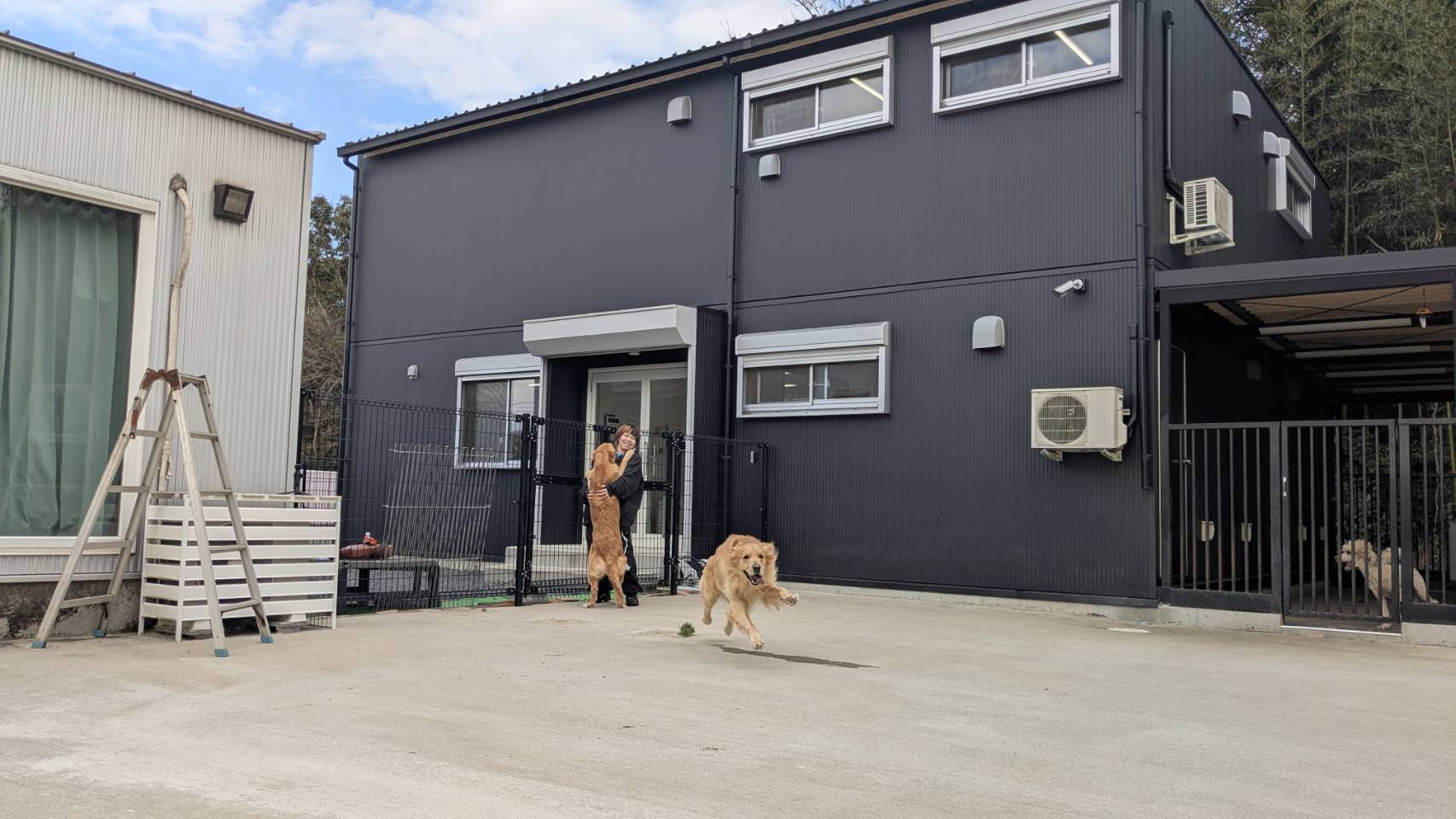 千葉の広大な5つの専用ドッグラン環境